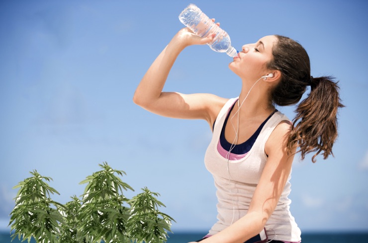 5 wskazówek, jak zalkalizować organizm