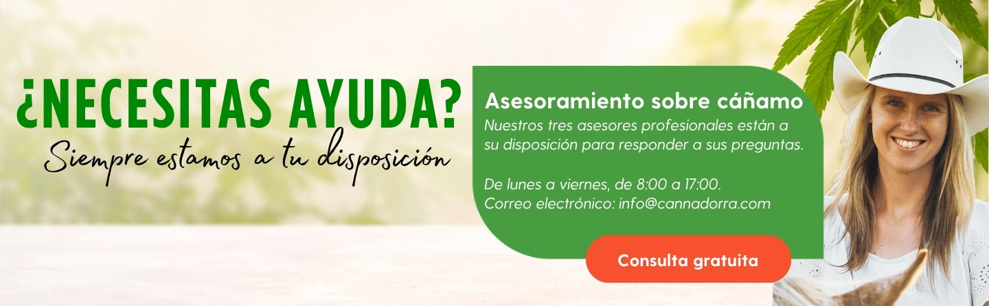 Quiero un consejo