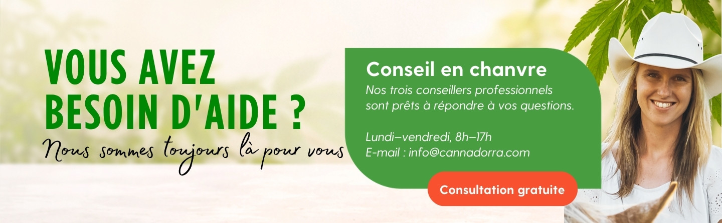 Je veux des conseils