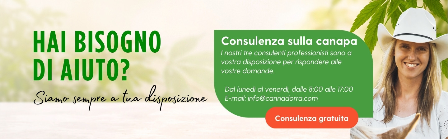 Vorrei un consiglio