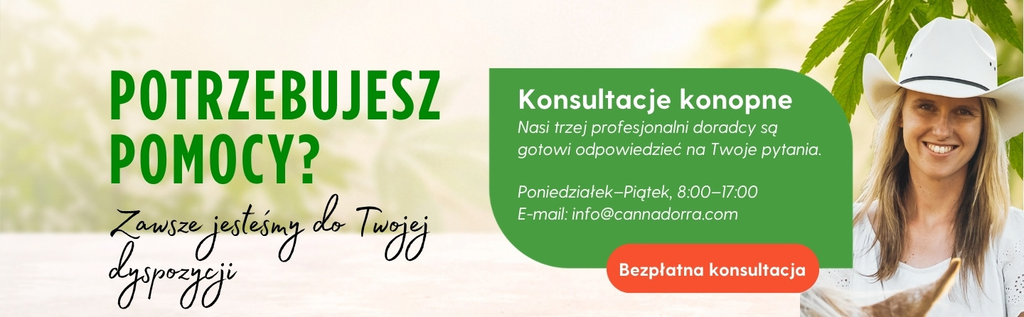 Chcę uzyskać poradę