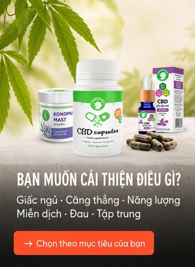 Bạn muốn thay đổi điều gì?
