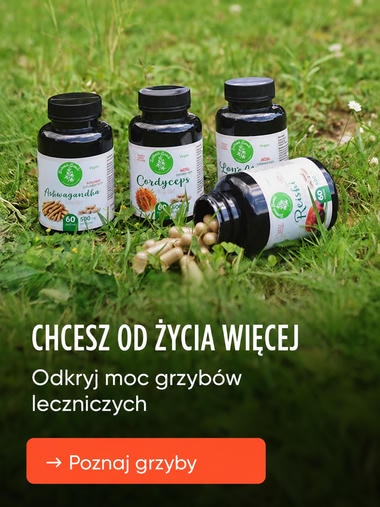Gdy chcesz czerpać z życia więcej