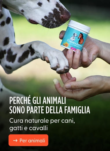 Perché fanno parte della famiglia