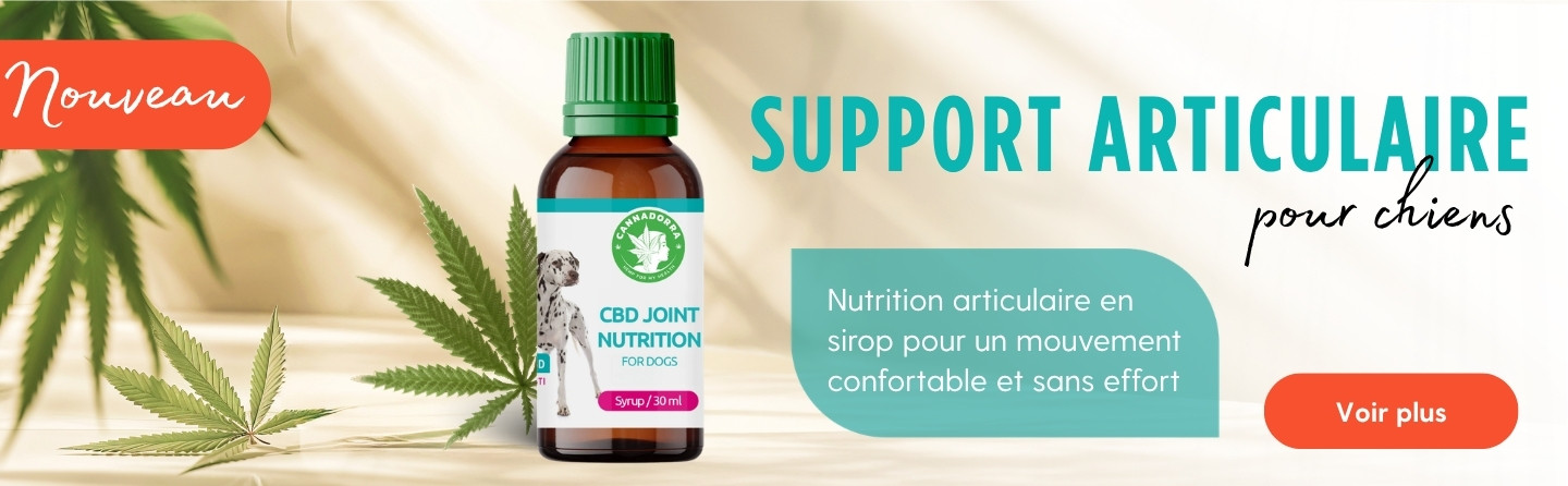 Joint nutirion syrup for dogs