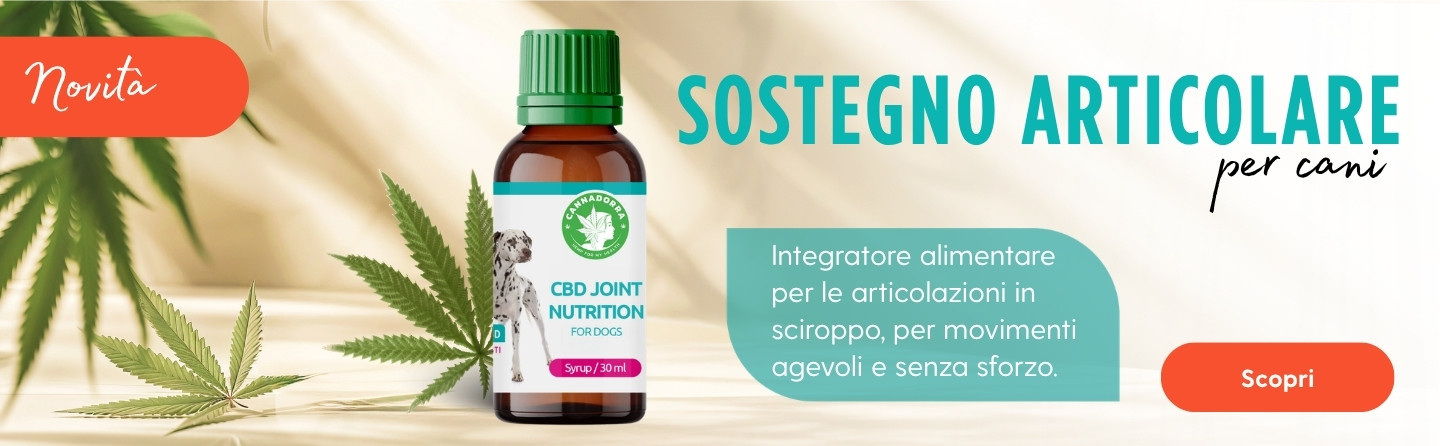 Joint nutirion syrup for dogs