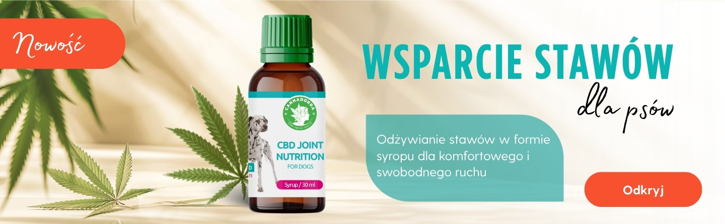 Joint nutirion syrup for dogs