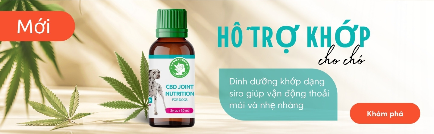 Joint nutirion syrup for dogs