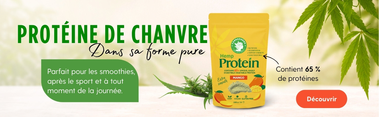 Nouveau : Protéines de chanvre à la mangue