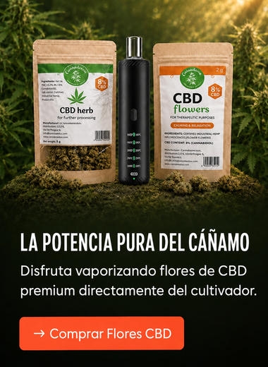 El poder puro del cáñamo