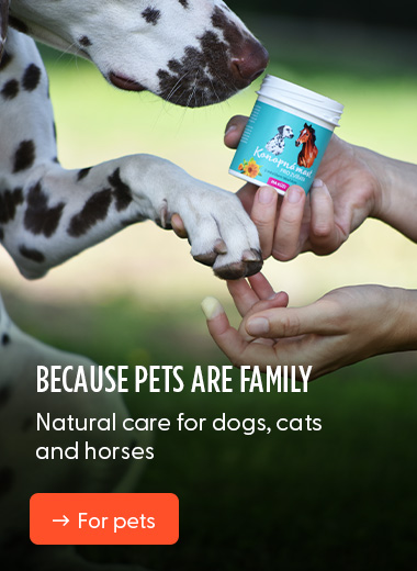 Because they’re part of the family