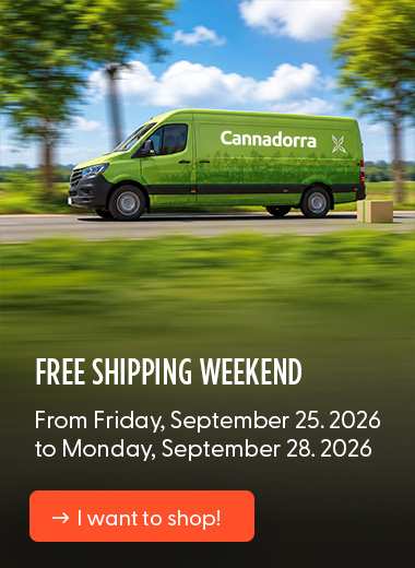 Free shipping weekend