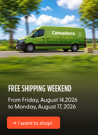 Free shipping weekend