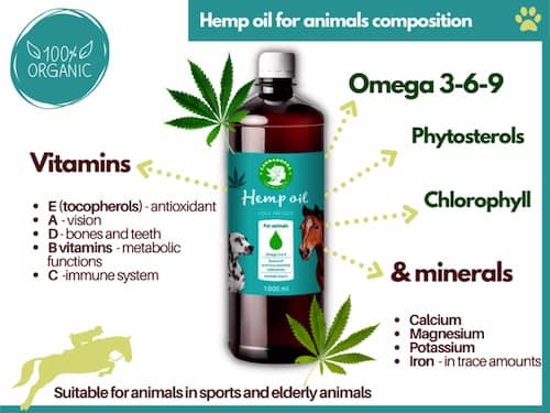 Hemp-oil-for-animals-composition-2