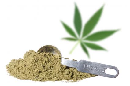 200306-425x281-hempprotein