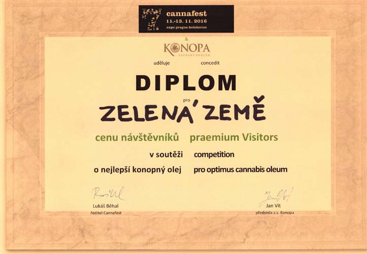 2016-Diplom