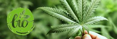 42112690_458088604712559_7691200470425010176_n