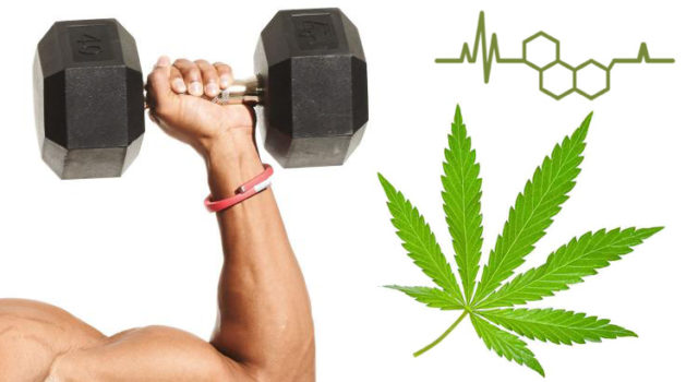 fitness-and-cbd-oil-640x350