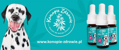 olejki-cbd-dla-psa