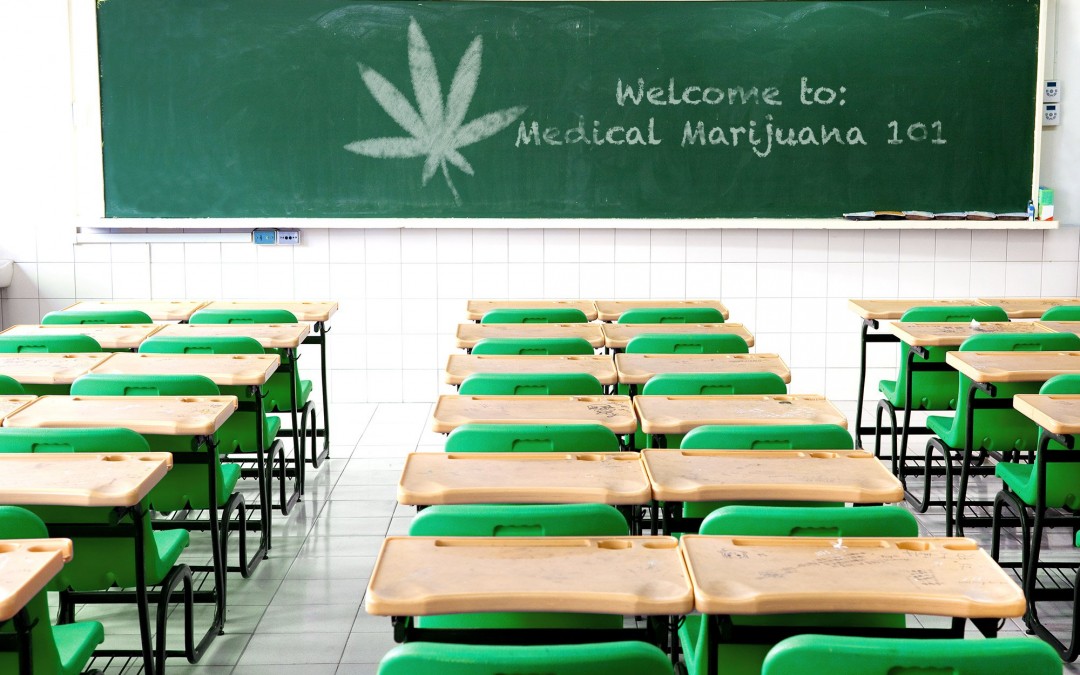 school-for-marijuana3-1080x675