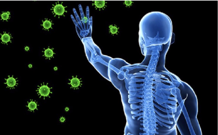 Konopie-na-wzmocnienie-odpornoscikilka-pewnych-wskazowek