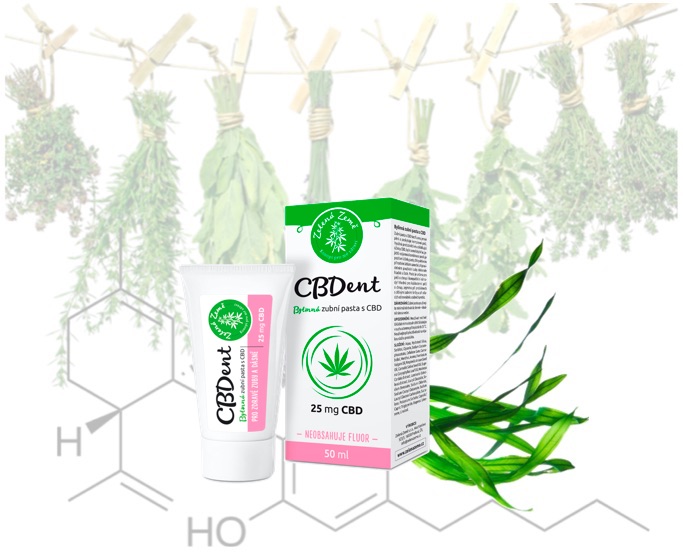 CBDent_-_Twoja_kompleksowa_opieka