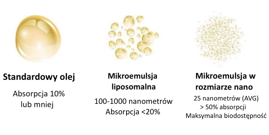 Klasyczne-oleje-CBD-vs-CBD-rozpuszczalne-w-wodzie