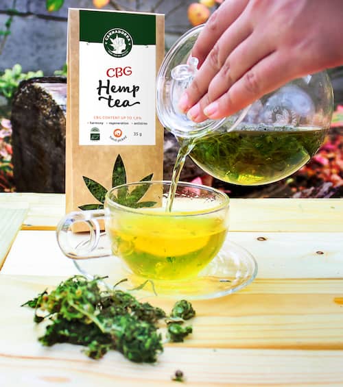 herbata-z-konopi-z-cbg
