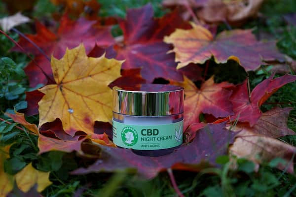krem-cbd-na-noc