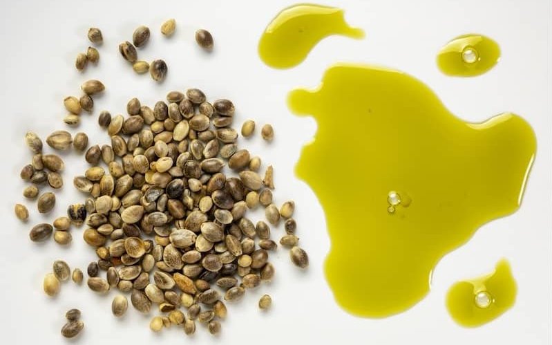 jak-zrobic-olej-z-konopii