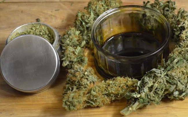 olej-rso-wszystko-o-nim-co-to-jest-itp