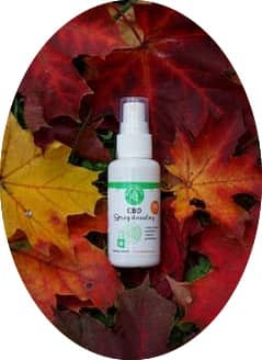spray-cbd