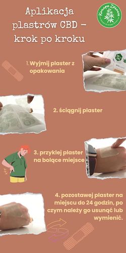 aplikacja-plastrow-z-cbd