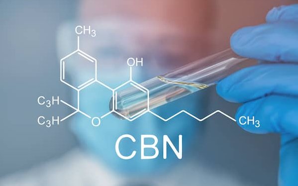 CBN - czym jest i jakie są jego efekty?