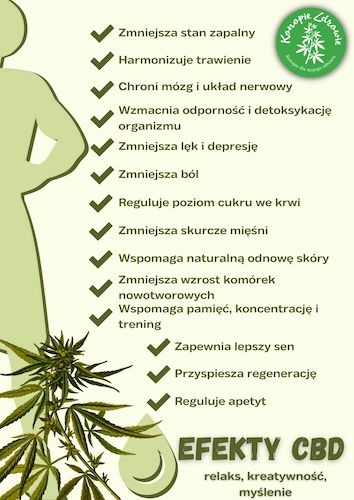 efekty-cbd