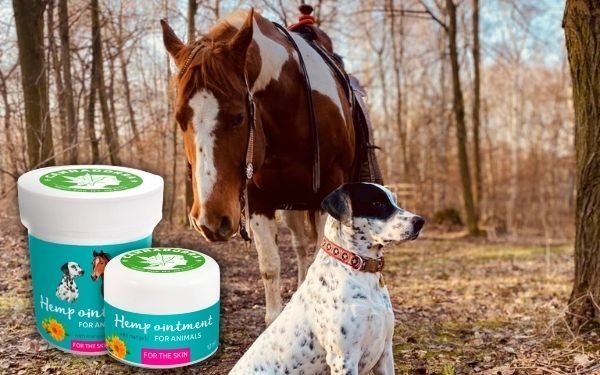 jak-dziala-masc-konopna-dla-zwierzat