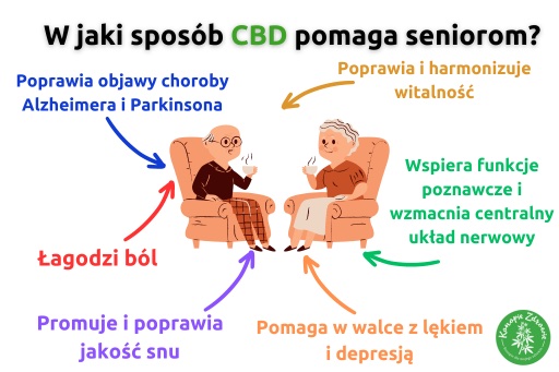 dzialanie-cbd-dla-seniorow