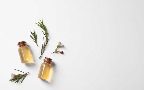 korzysci-z-polaczenia-oleju-konopnego-z-drzewem-herbacianym