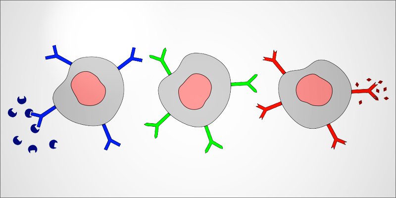 system_endokannabinoidowy