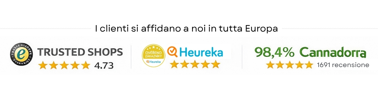 recensioni-clienti-con-loghi