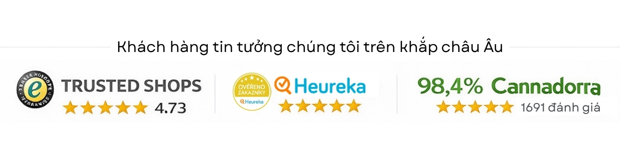 danh-gia-khach-hang-kem-logo