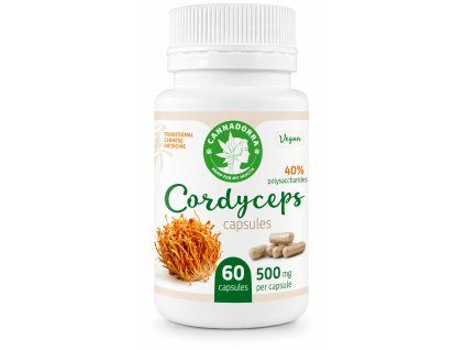 Cordyceps capsules