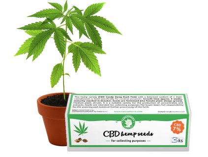 CBD Hemp seeds - 3pcs