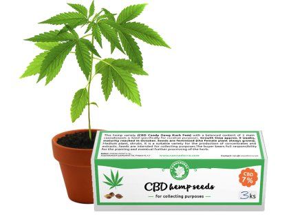 CBD Kendermag - 3db