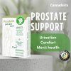 Prostate support