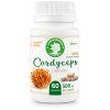 Cordyceps capsules