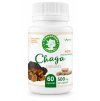 Chaga capsules