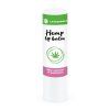 Baume à lèvres au chanvre - 4,8ml