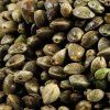 Hạt gai dầu nguyên vỏ BIO 150g