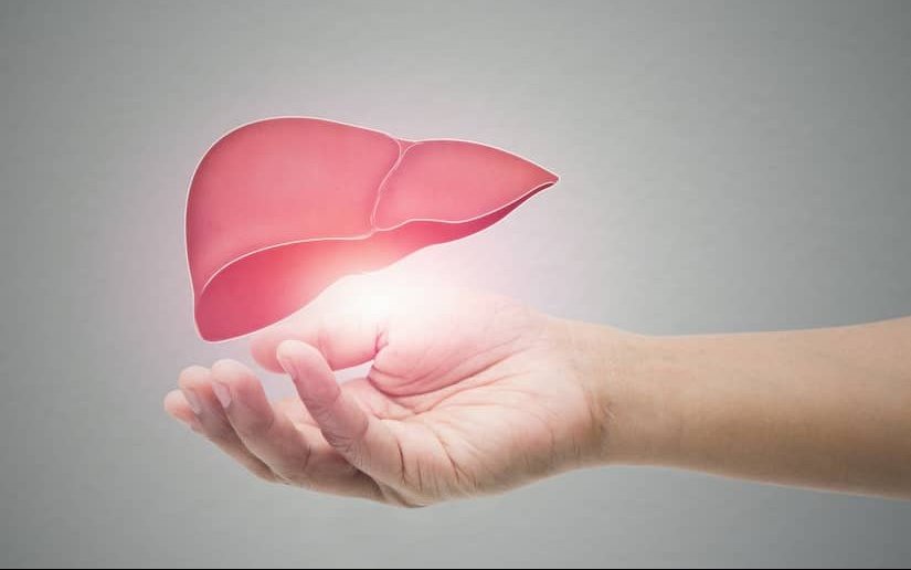 A CBD használata nem okoz májtoxicitást - Új tanulmány